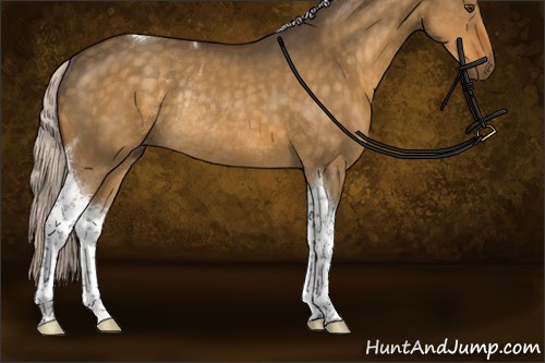 Horse Color:Silver Buckskin Dun Tobiano Rabicano