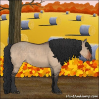 Horse Color:Brown Dun and Brown Dun