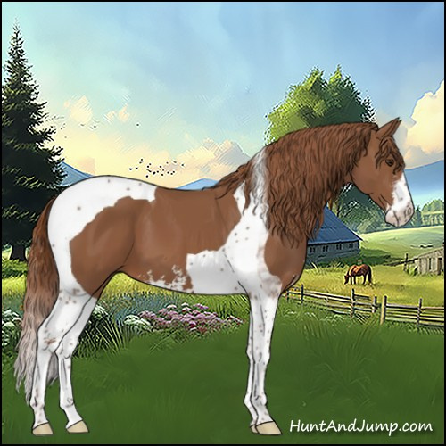 Horse Color:Chestnut Sabino Tobiano 