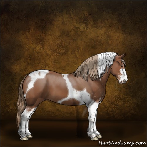 Horse Color:Chestnut Sabino Tobiano 
