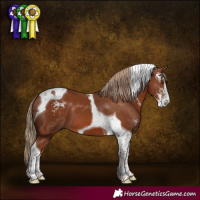 Horse Color:Chestnut Sabino Tobiano 