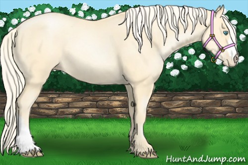 Horse Color:Palomino Pearl