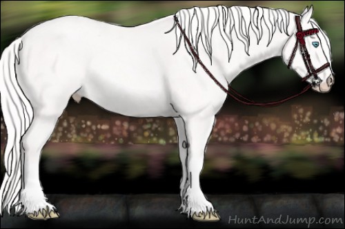 Horse Color:Cremello 