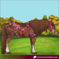Horse Color:Chestnut Tobiano