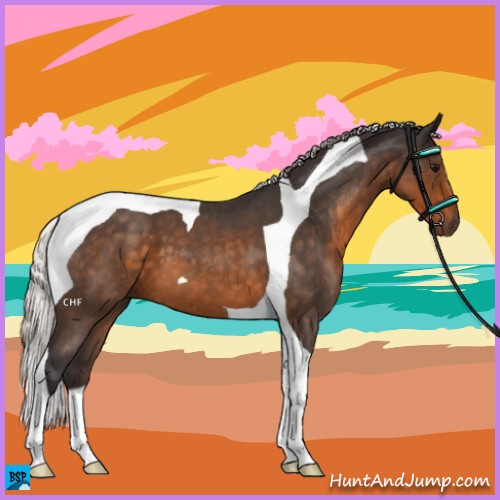 Horse Color:Silver Buckskin Roan Tobiano 