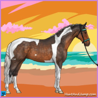 Horse Color:Silver Buckskin Roan Tobiano 