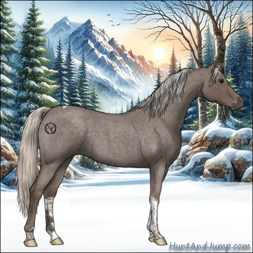 Horse Color:Silver Blue Roan Tobiano 