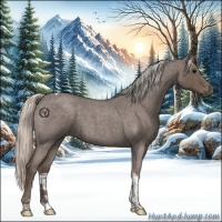 Horse Color:Silver Blue Roan Tobiano 
