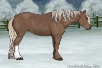 Horse Color:Silver Black