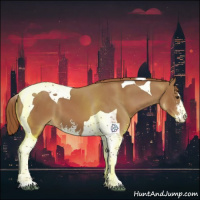 Horse Color:Chestnut Sabino Tobiano 