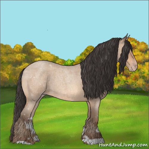 Horse Color:Amber Champagne Roan 