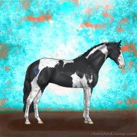 Horse Color:Black Sabino Tobiano 