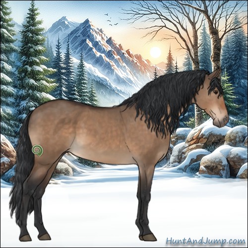 Horse Color:Brown Dun 