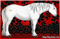 Horse Color:Gray White Spotted Chocolate Palomino