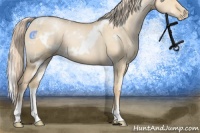 Horse Color:White Spotted Palomino Pearl Dun