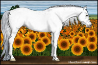 Horse Color:Gray Watercolor Smoky Black Tobiano Frame Appaloosa 