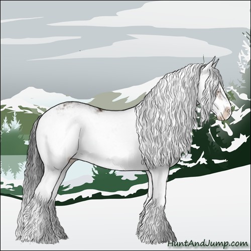 Horse Color:Brown Sabino 