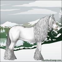 Horse Color:Brown Sabino