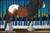 Horse Color:Bay Sabino Appaloosa 