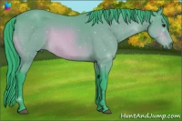 Horse Color:Void Watercolor Bay Sabino 