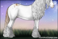 Horse Color:Chestnut Splash Tobiano Rabicano 