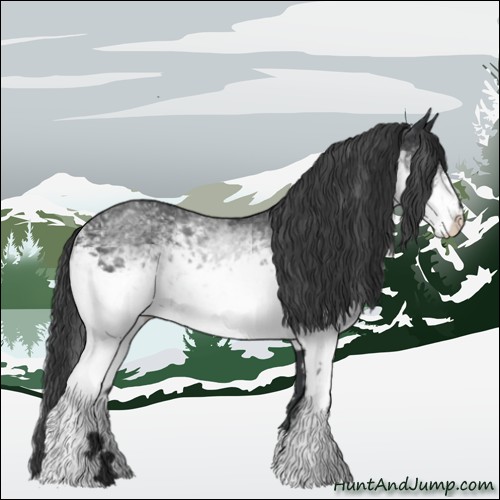 Horse Color:White Spotted Black 