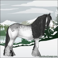Horse Color:White Spotted Black