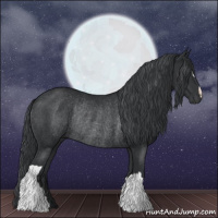 Horse Color:Black Chinchilla Rabicano 