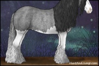 Horse Color:Blue Roan Splash Rabicano