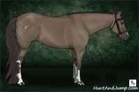 Horse Color:Smoky Grullo 