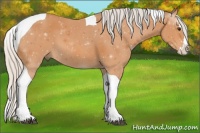 Horse Color:Silver Bay Splash Tobiano 