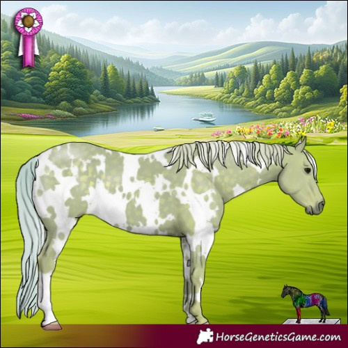 Horse Color:Watercolor White Spotted Silver Black
