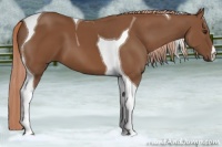 Horse Color:Chestnut Tobiano 