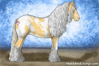 Horse Color:White Spotted Palomino Varnish