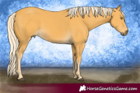 Horse Color:Palomino 
