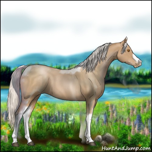 Horse Color:Silver Blue Roan Pearl Tobiano Frame 