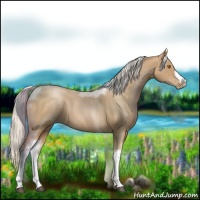 Horse Color:Silver Blue Roan Pearl Tobiano Frame 