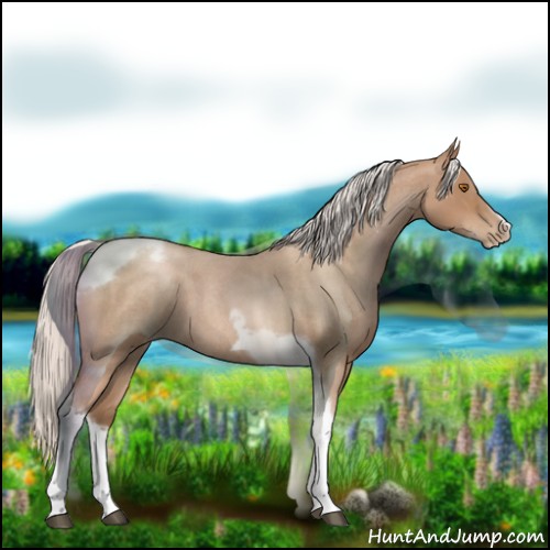 Horse Color:Silver Blue Roan Pearl Tobiano Frame 