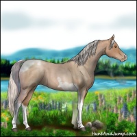 Horse Color:Silver Blue Roan Pearl Tobiano Frame 