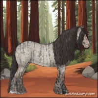 Horse Color:Grullo Roan  and Classic Champagne Roan Dun 