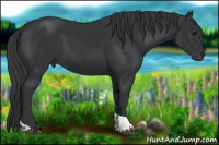 Horse Color:Platinum Black Tobiano