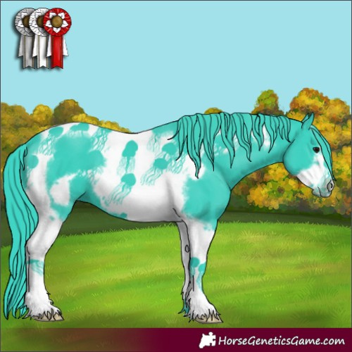 Horse Color:Watercolor Black Tobiano Frame 