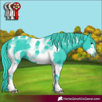 Horse Color:Watercolor Black Tobiano Frame 