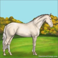 Horse Color:Silver Amber Cream Champagne Pearl