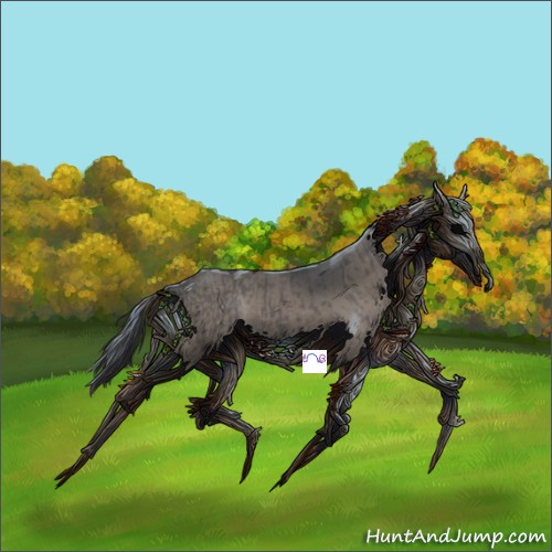 Horse Color:Grullo  and Grullo Rabicano 