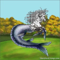 Horse Color:Grullo  and White Spotted Grullo 