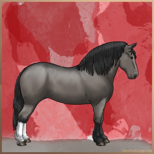 Horse Color:Grullo  and Grullo 