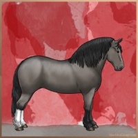 Horse Color:Grullo  and Grullo 