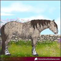 Horse Color:Grullo  and Classic Champagne Dun 