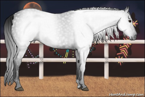 Horse Color:Gray Black 